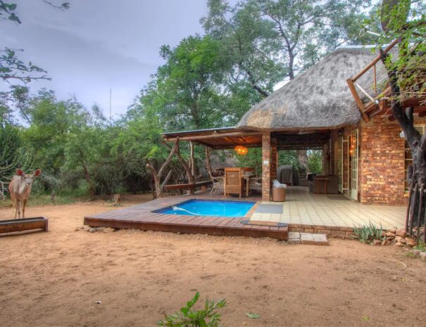 86f4ee07-99cc-468f-b218-348a8f064b60