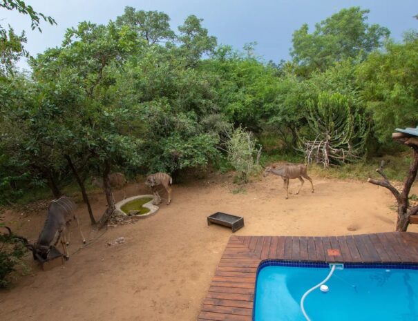 9f10064f-9221-49e6-a351-df3a117b61d6