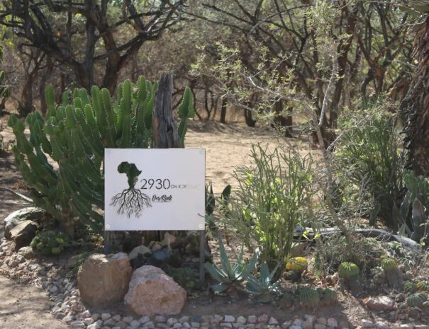 ee4801b4-d243-41ae-957b-9049f4443270