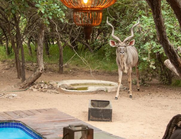 fd45f20b-25b3-46f0-8796-90aa6c575a3c