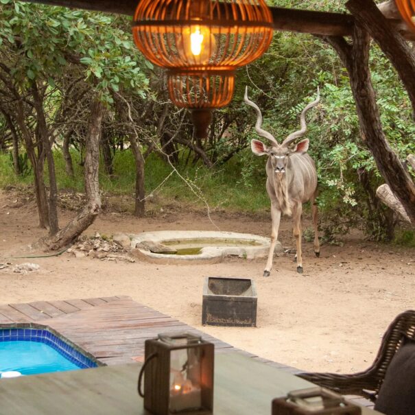 fd45f20b-25b3-46f0-8796-90aa6c575a3c